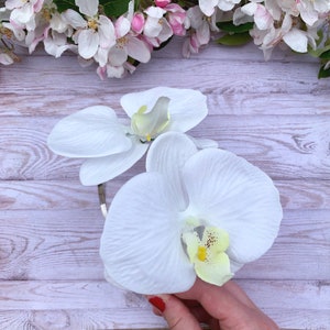 Puede incluir: Dos flores de orqu&iacute;dea blancas con centros amarillos, sostenidas en una mano sobre un fondo de madera clara.