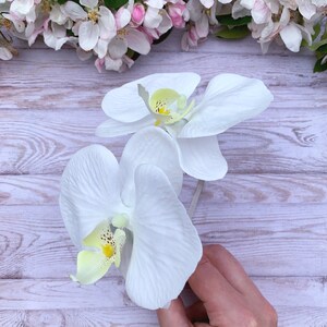 Puede incluir: Dos flores de orqu&iacute;dea blancas con centros amarillos sobre un fondo de madera clara.