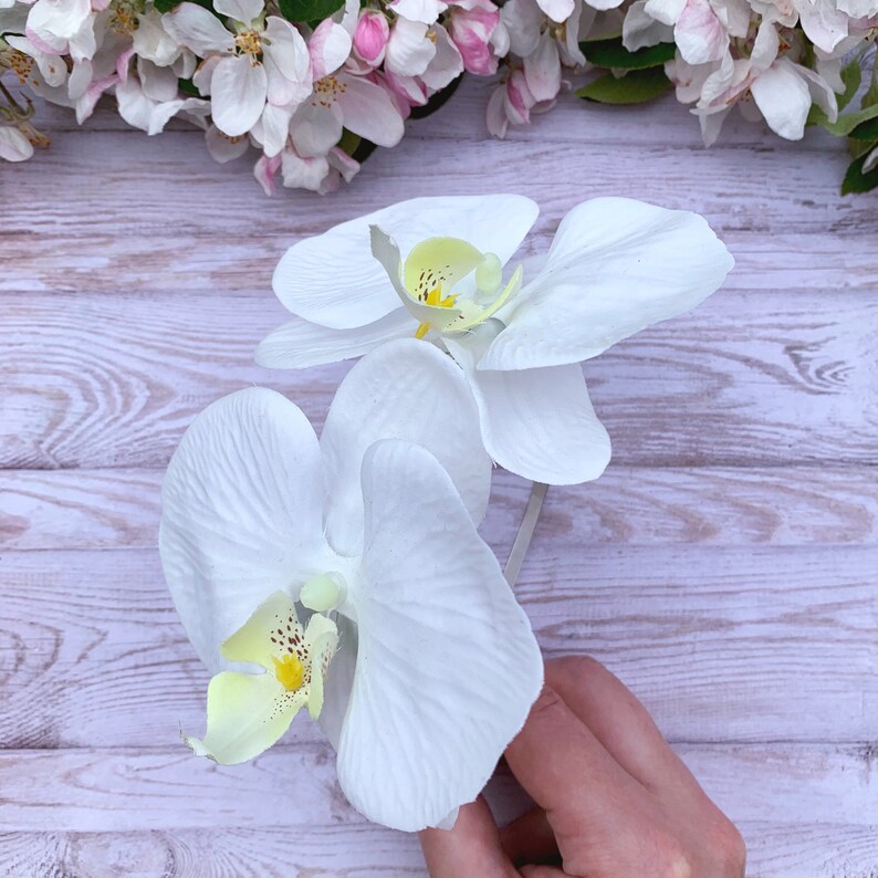 Puede incluir: Dos flores de orqu&iacute;dea blancas con centros amarillos sobre un fondo de madera clara.