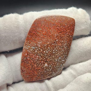 Puede incluir: Una piedra pulida, rectangular, con un patrón único. La piedra presenta una red de líneas marrón oscuro sobre un fondo rojo-naranja y blanco, que se asemeja a una estructura fosilizada. La piedra se sostiene en un paño blanco.