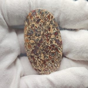 Puede incluir: Una gema ovalada con un patrón de mosaico en tonos marrón, beige y burdeos. La piedra pulida se presenta sobre un fondo de tela blanca. El patrón único de la gema crea un diseño natural y orgánico.