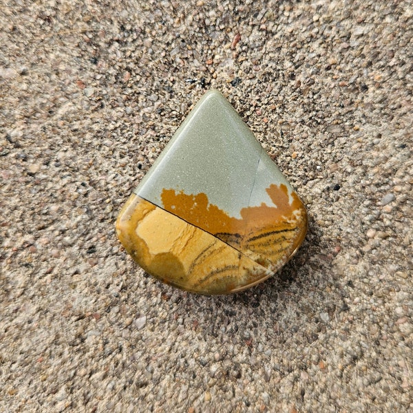 Triangular Owyhee picture jasper cabochon with rounded bottom