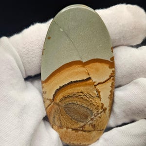 Large oval shaped Owyhee Picture Jasper scenic mountains patterns  great for jewelry or collection