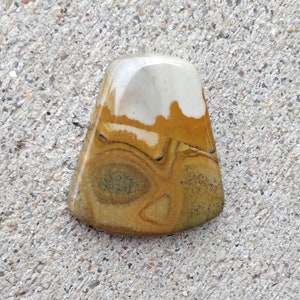 Rounded Bottom Owyhee Picture Jasper Cabochon