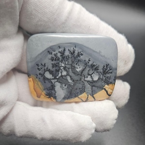 May include: A rectangular, polished stone with a natural landscape design. The stone features a grey sky, a black tree, and a yellow and brown ground. The design resembles a miniature landscape painting. The stone is held by a white glove.