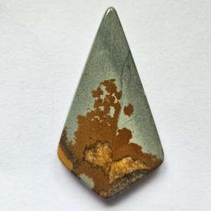 Unique Owyhee picture jasper cabochon perfect for pendant or jewelry rare material
