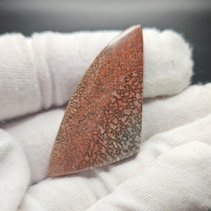May include: A polished, triangular gemstone with a unique pattern. The stone features a network of dark brown lines against a reddish-brown and white background. The overall shape is a rounded triangle, showcasing natural textures.