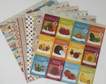 Authentique - The Wood Connection 12x12 Paper - Bright, Seed Packets, Flowers, Stripes