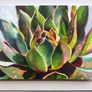 Succulent  notecards, set of 4 with envelopes, 3.5x5