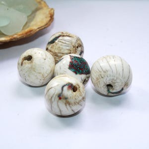 Shell Beads, Naga Conch Shell Muschelperlen, 5 Stück
