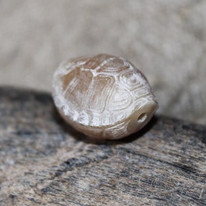 Handmade Beads, Vintage Beads, Retro Beads, Horn Beads, Natural Beads, Turtle, 1 piece, 21.5 x 19.5 x 16.5 mm