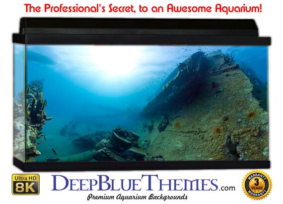 Download 104+ Background Fish Tank Pictures Gratis Terbaik