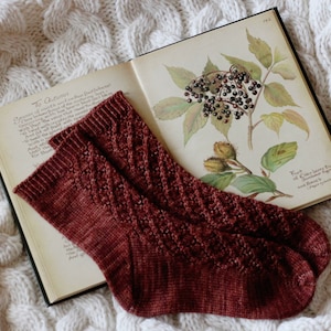 Könnte beinhalten: Ein Paar kastanienbraune Stricksocken mit einem Zopfmuster, die auf einem geöffneten Buch mit einer botanischen Illustration einer Pflanze mit dunklen Beeren liegen.