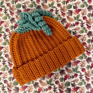 May include: A crocheted beanie in a vibrant orange color with a ribbed texture and a folded brim. The top of the beanie features a decorative cluster of textured, sage green crocheted leaves that resemble the stem and foliage of a pumpkin.