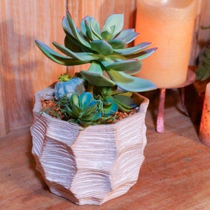 Rustic geometric planter w/ faux succulent (light-up)