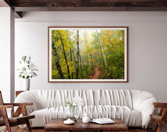 Autumn Forest in Wisconsin