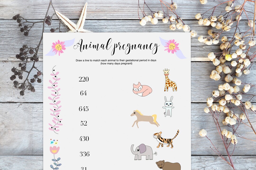 Baby Shower Game. Animal Pregnancy Game. Printable. Instant Download