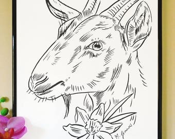 Goat and Daffodil Art Print