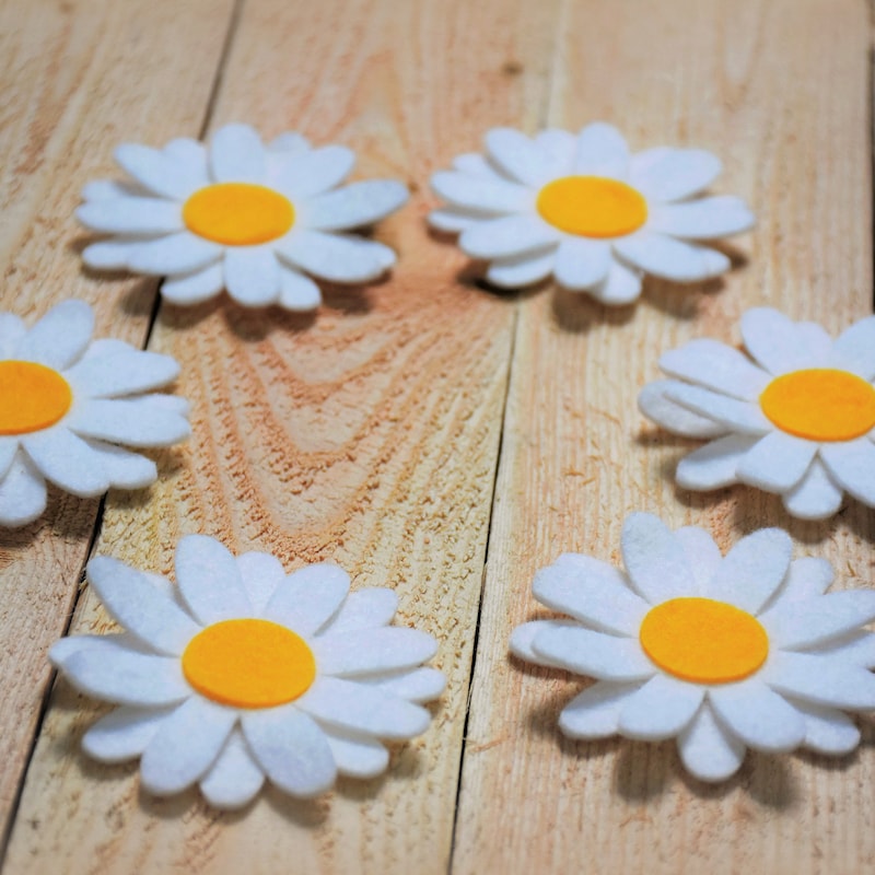 CSS Daisey  Print Felt Pad. main image 1
