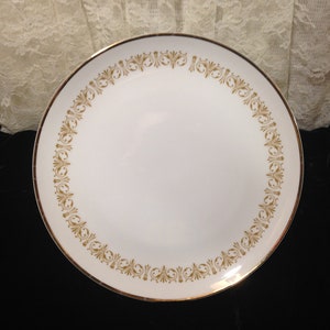 Sheffield Imperial Gold 504 Mustard Scroll Band Coupe Shape Fine China Gold Trim 10.5" Dinner Plate