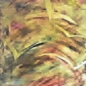 WINGS; Painting on Canvas, Oil & 18k Gold Paint, Impressionism; Freedom, flight, Colors, nature, inspiration