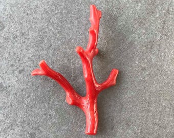 Natural Coral / Branched Red Coral / Coral
