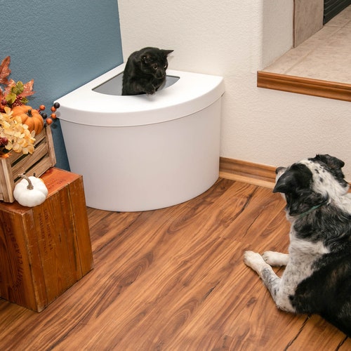 Kitangle Top Entry Litter Box & Liner Etsy