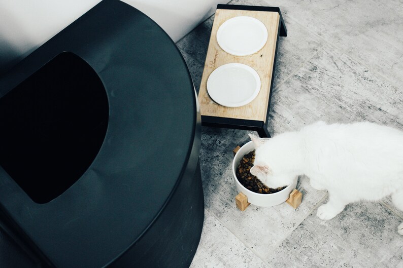 Kitangle Top Entry Litter Box & Liner Etsy