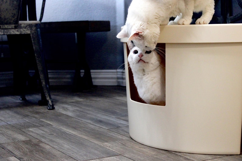 Kitangle Corner Kitty Litter Box Cream