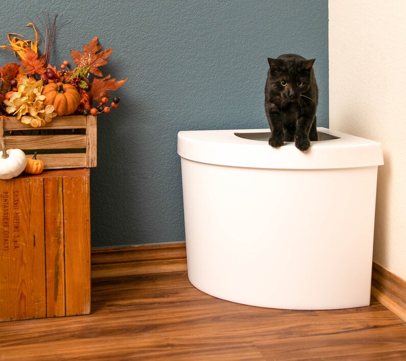 Top Entry Litter Box & Liner Etsy