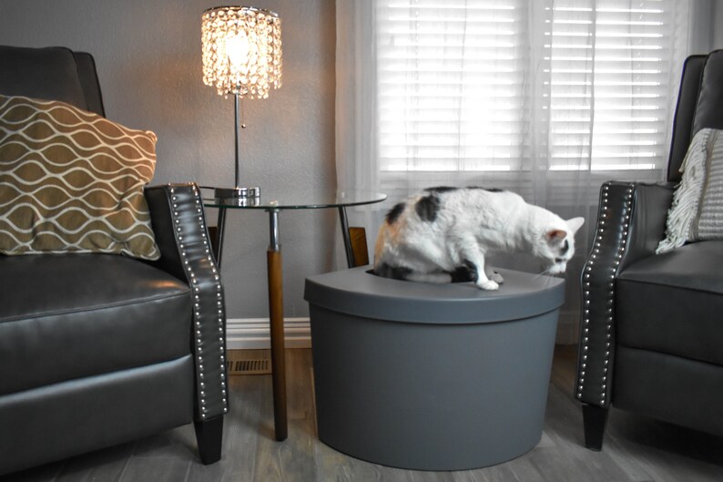 Kitangle Top Entry Litter Box & Liner Etsy