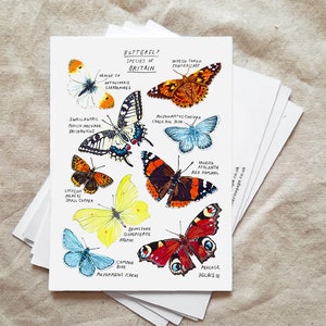 Pack of 5 Butterfly Postcards - British Butterflies