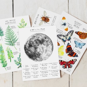 Lot de cartes postales illustrées Nature