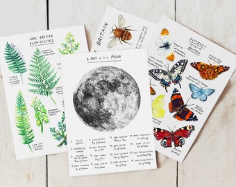 Nature Illustrated Postcard Pack