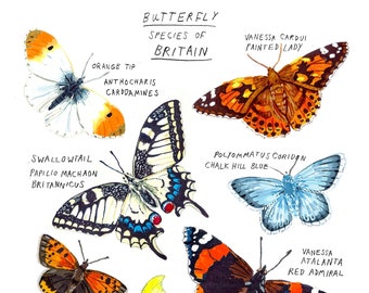 A3 British Butterflies Print