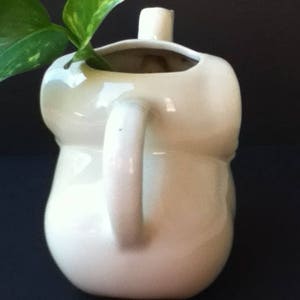 May include: A glossy, off-white ceramic pitcher with a rounded, bulbous body and a single side handle. The top opening is wide and irregular, featuring a small spout. A green, variegated leaf plant extends from the top opening of the vessel.