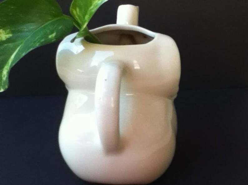 May include: A glossy, off-white ceramic pitcher with a rounded, bulbous body and a single side handle. The top opening is wide and irregular, featuring a small spout. A green, variegated leaf plant extends from the top opening of the vessel.