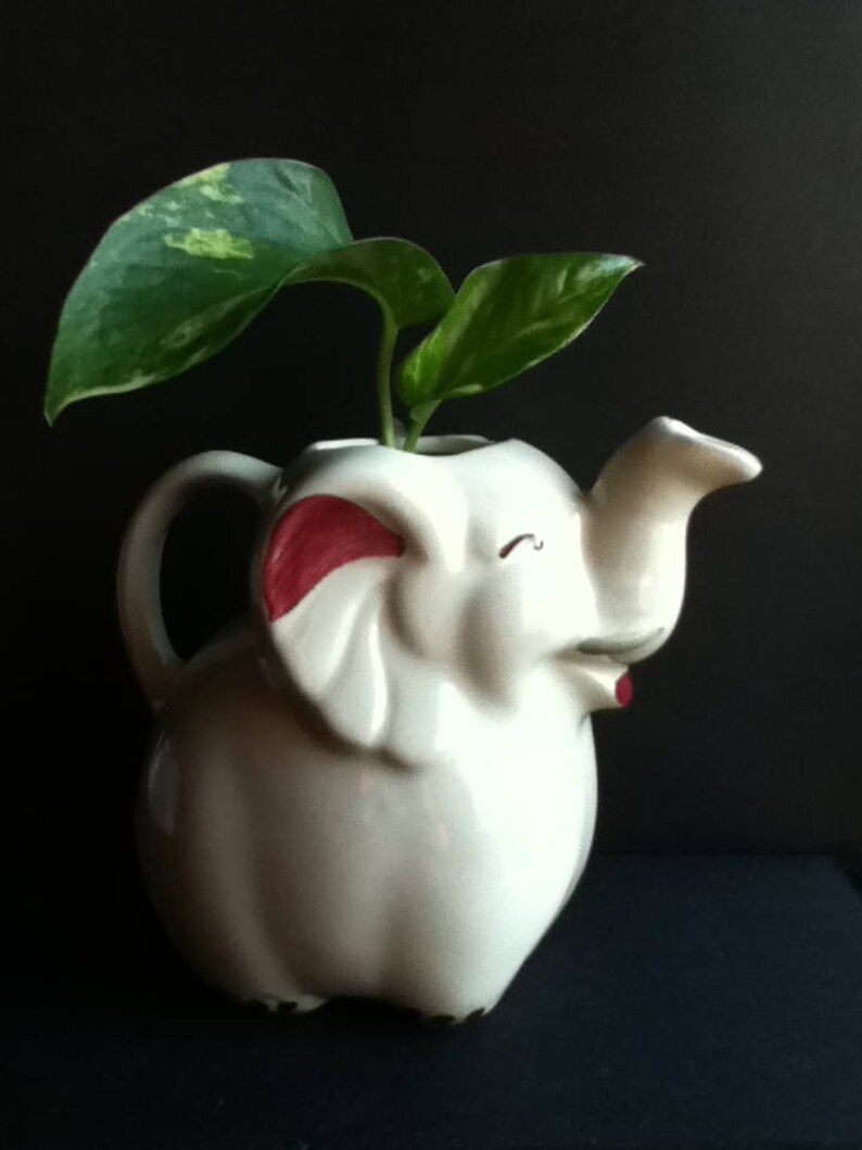 May include: A white ceramic elephant-shaped pitcher with a handle and a trunk-shaped spout. The elephant has painted red inner ears and a red mouth. A green and yellow variegated plant grows out of the opening at the top of the elephant's back.