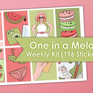 One in a Melon Weekly Kit | Erin Condren Planner Stickers 196 Stickers