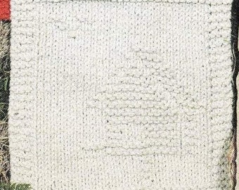 Birdhouse Dishcloth PDF knit pattern