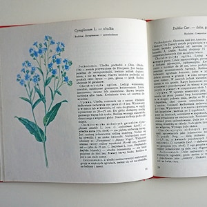 botanical