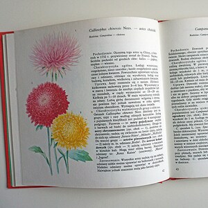Vintage Illustrated Botanical Book | Vintage Plant Illustrations | Botanical Illustrations