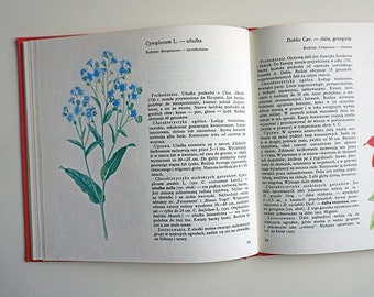 Vintage Illustrated Botanical Book | Vintage Plant Illustrations | Botanical Illustrations