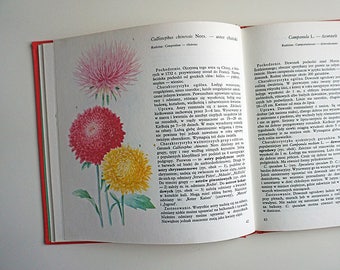 Vintage Illustrated Botanical Book | Vintage Plant Illustrations | Botanical Illustrations