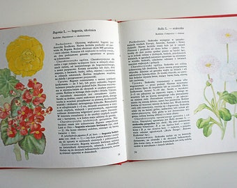 Vintage Illustrated Botanical Book | Vintage Plant Illustrations | Botanical Illustrations