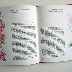 Vintage Illustrated Botanical Book | Vintage Plant Illustrations | Botanical Illustrations