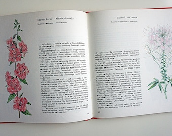 Vintage Illustrated Botanical Book | Vintage Plant Illustrations | Botanical Illustrations