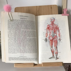Libro di anatomia illustrato vintage / Illustrazioni di anatomia vintage / Illustrazioni di anatomia / Libro di anatomia
