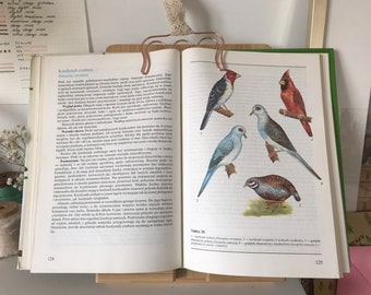 Vintage Illustrated birds Book | Vintage birds Illustrations | Birds Illustrations | Zoology book