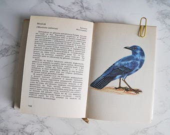 Vintage Illustrated birds Book | Vintage birds Illustrations | Birds Illustrations | Zoology book